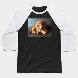 lily dachshund tekel puppy Baseball T-Shirt